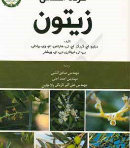 گرده افشاني زيتون